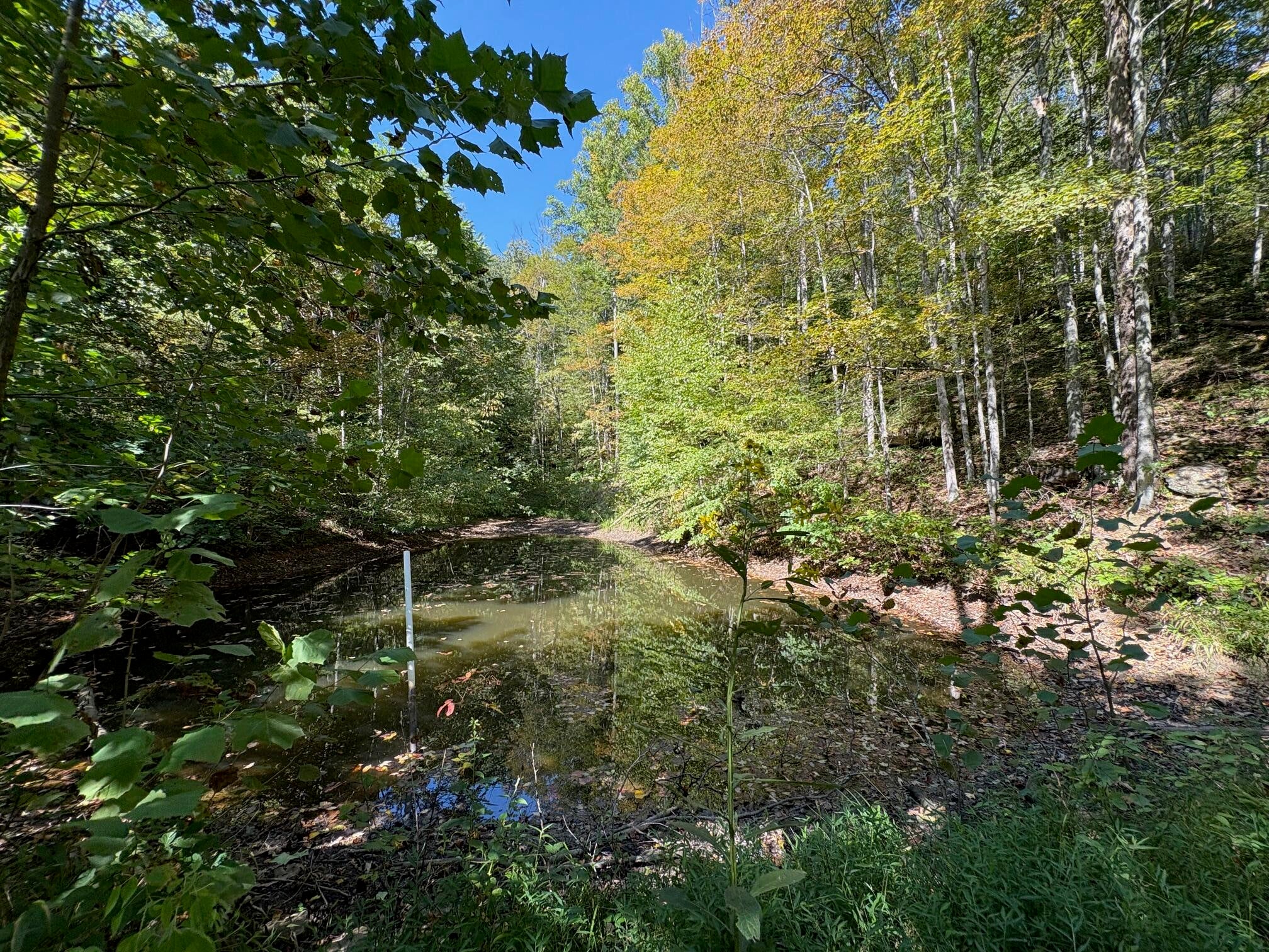 6652 Servia Road Duck, WV 25063 - Photo 52 of 69 Gallery Image 52