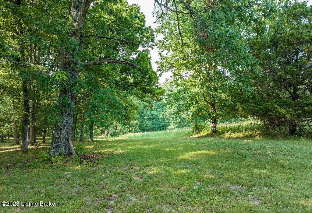 2328 Fisher Ridge Road Horse Cave, KY 42749 - Photo 3 of 15 DJI_0282