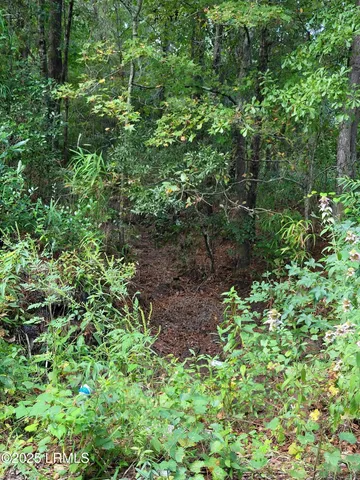 $49,900 | Tbd Tina Manker Road, Ridgeland, SC 29936