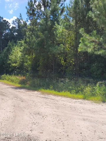 $49,900 | Tbd Tina Manker Road, Ridgeland, SC 29936