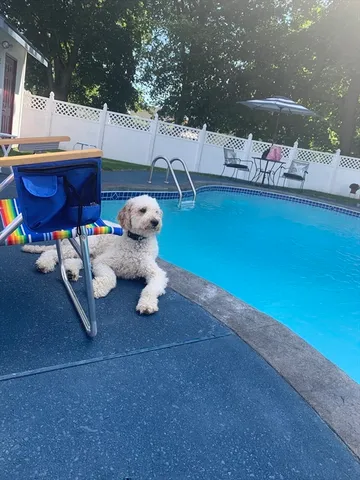 $689,900 | 42 Pentucket Avenue, Lowell, MA 01852