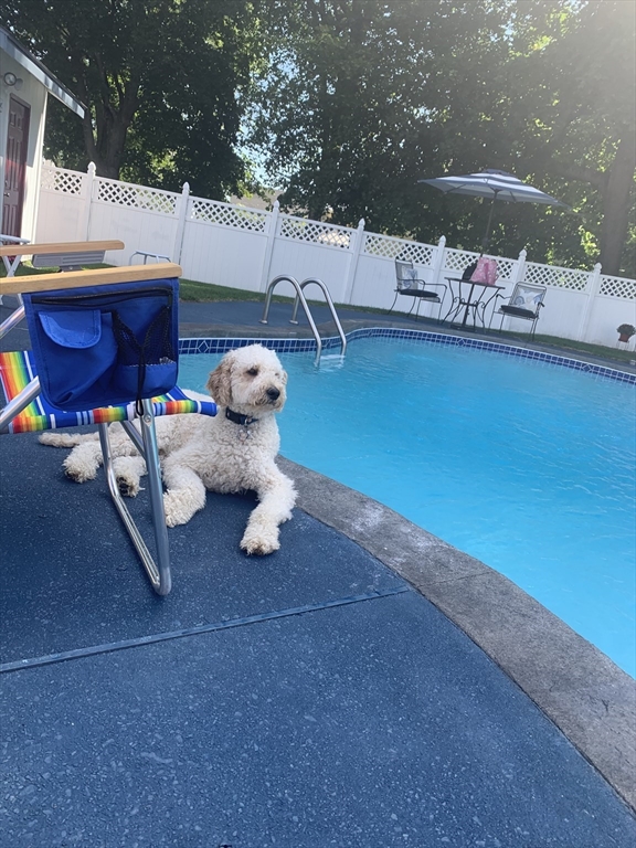 42 Pentucket Avenue Lowell, MA 01852 - Photo 40 of 42