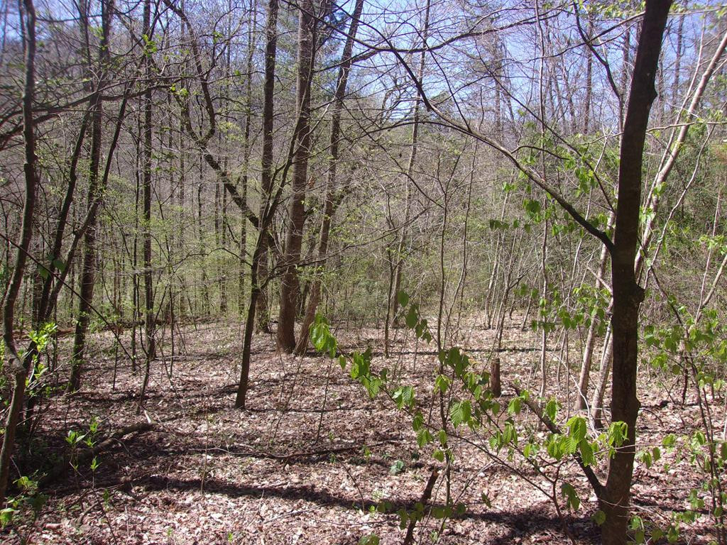 6309 Fairview Road Marble, NC 28905 - Photo 6 of 10