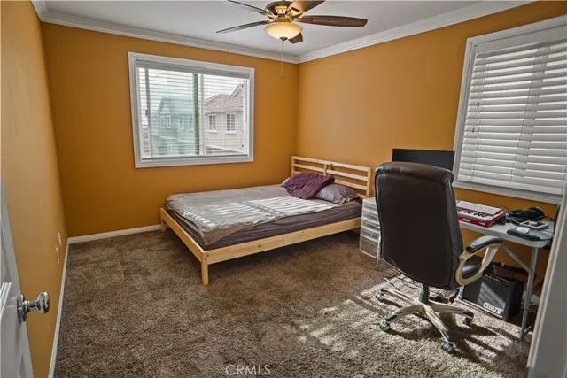 a living room with a bed furniture and a window