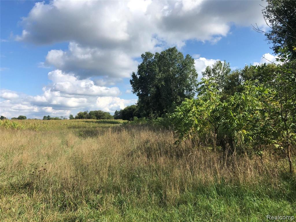 0 North Wilder Road Lapeer, MI 48446 - Photo 1 of 16