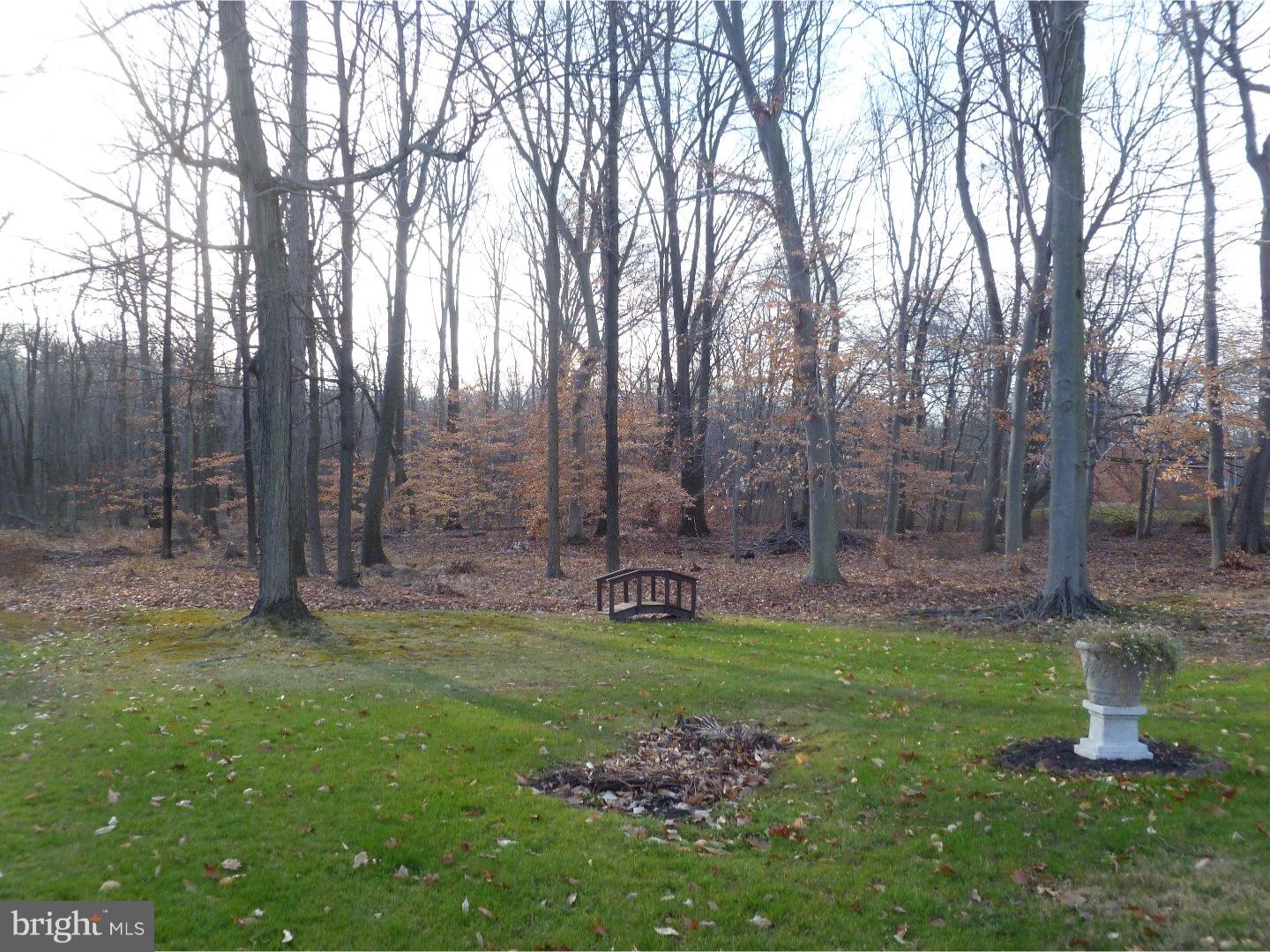 89 Blue Jay Road Chalfont, PA 18914 - Photo 13 of 14 Back Yard