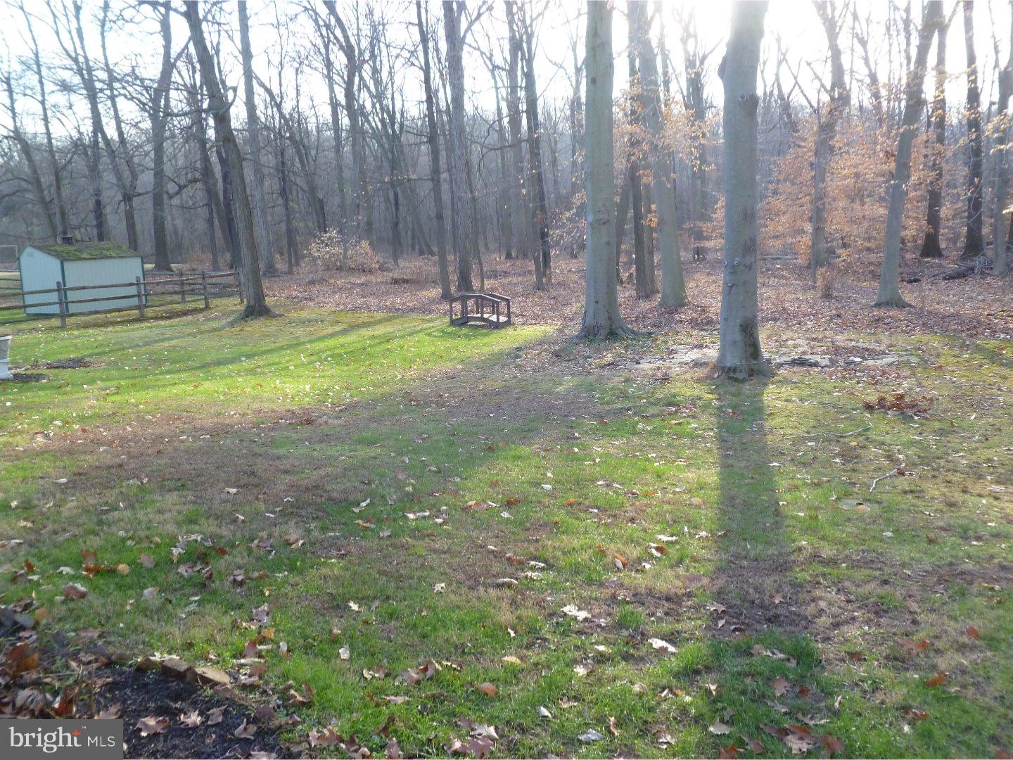 89 Blue Jay Road Chalfont, PA 18914 - Photo 14 of 14 Back Yard