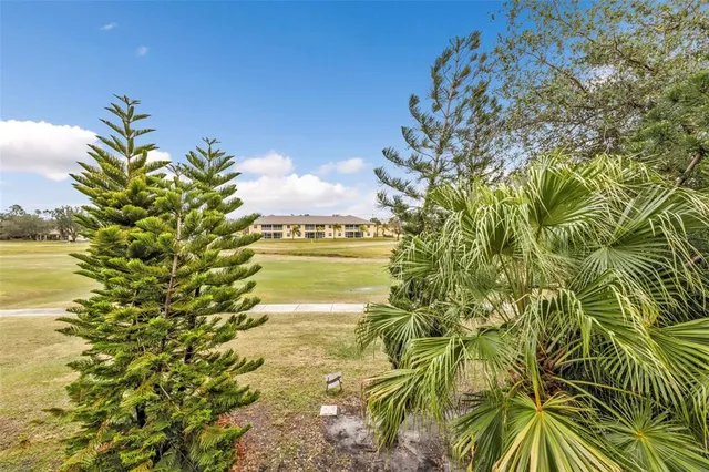 a view of a lake with a tree