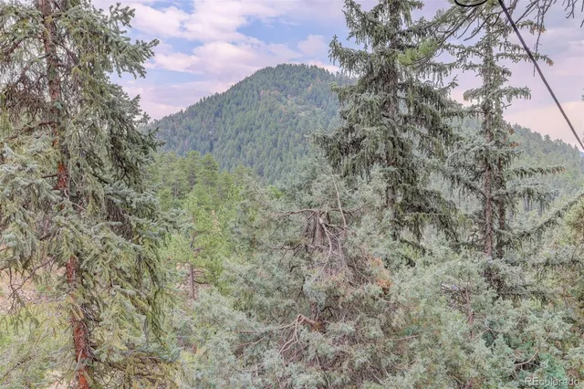 $2,700 | 20650 Seminole Road, Indian Hills, CO 80454