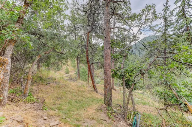 $2,700 | 20650 Seminole Road, Indian Hills, CO 80454