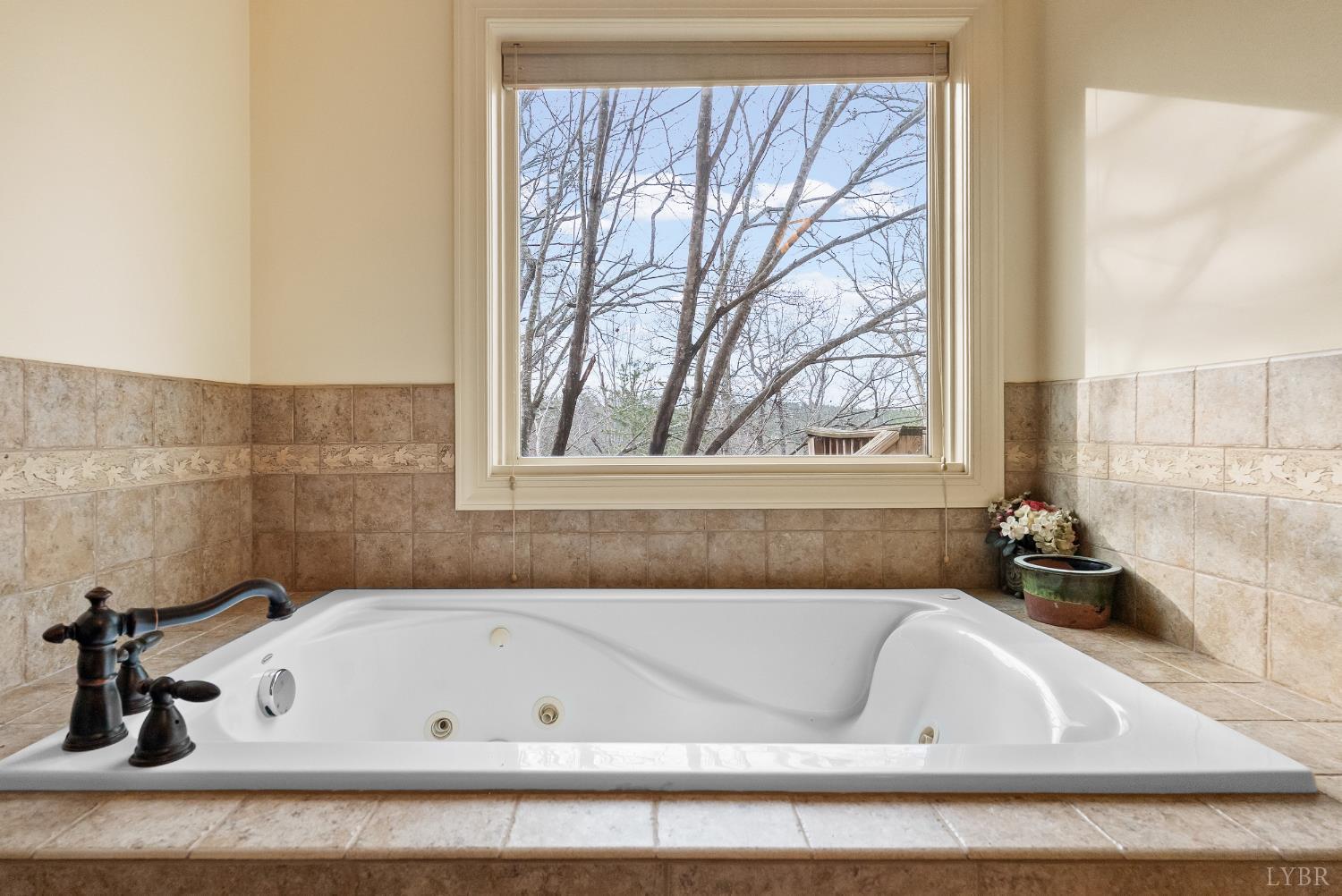 2481 School Crossing Road Lynch Station, VA 24571 - Photo 30 of 47 a bathroom with a bathtub and a window