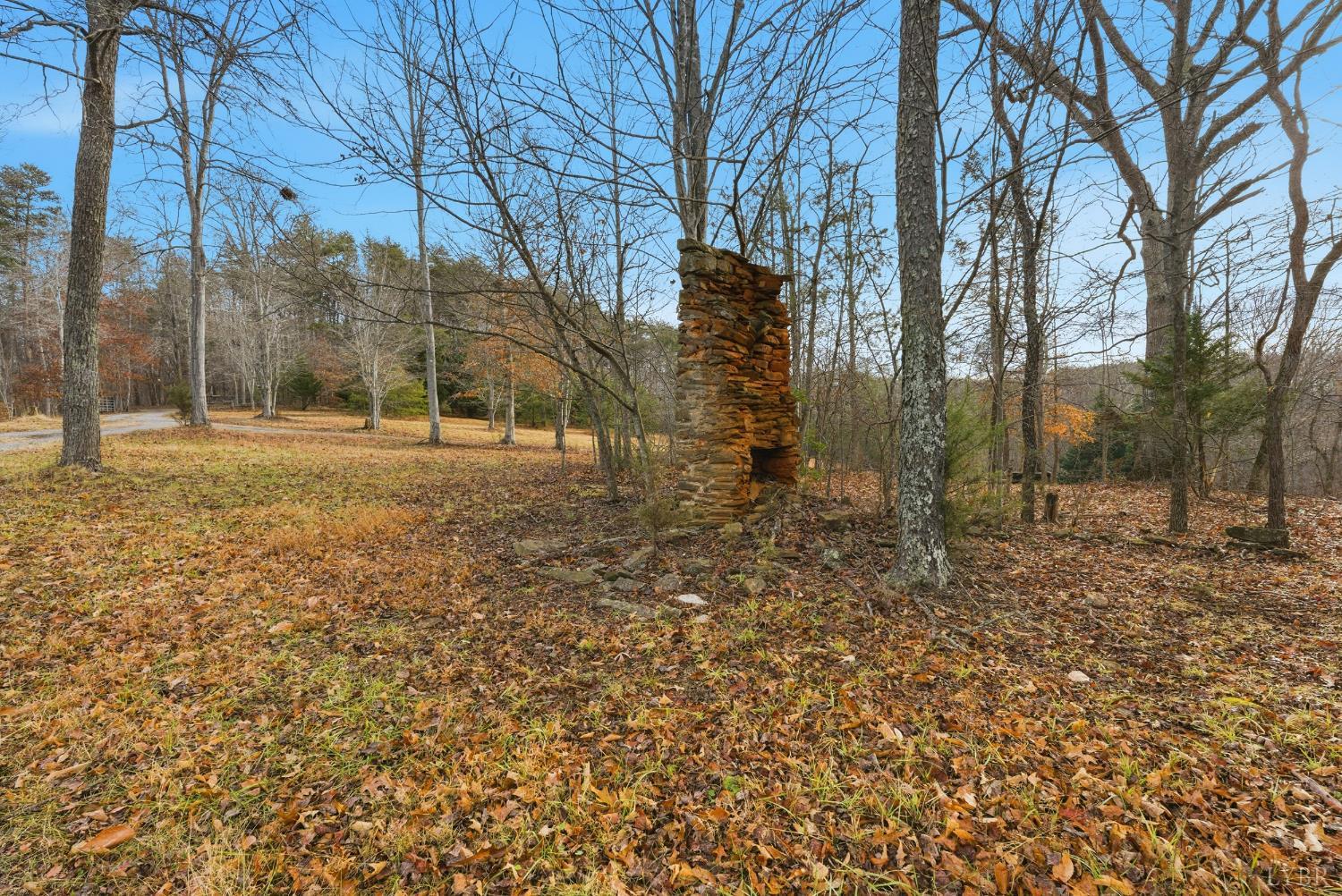 2481 School Crossing Road Lynch Station, VA 24571 - Photo 34 of 47 a view of dirt yard with a trees