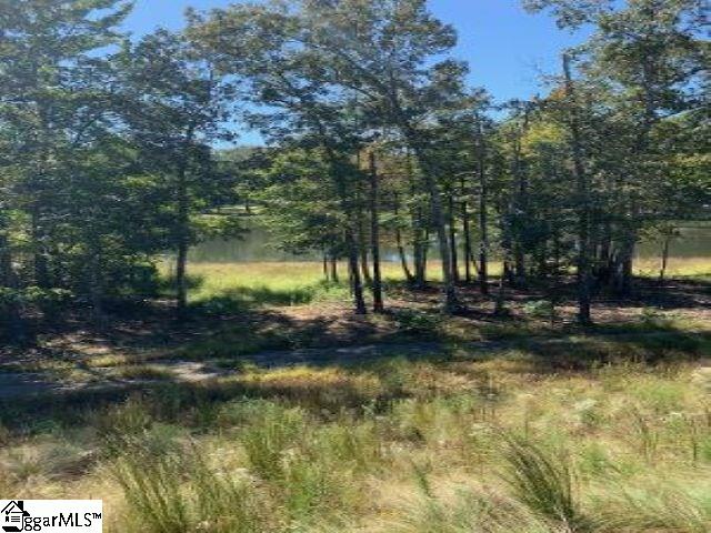 514 Castleby Drive Duncan, SC 29334 - Photo 35 of 35