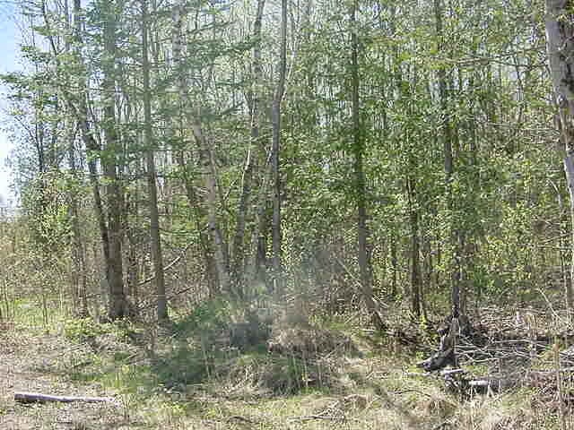 444 Sandtown Road Germfask, MI 49836 - Photo 2 of 3 Gallery Image 2