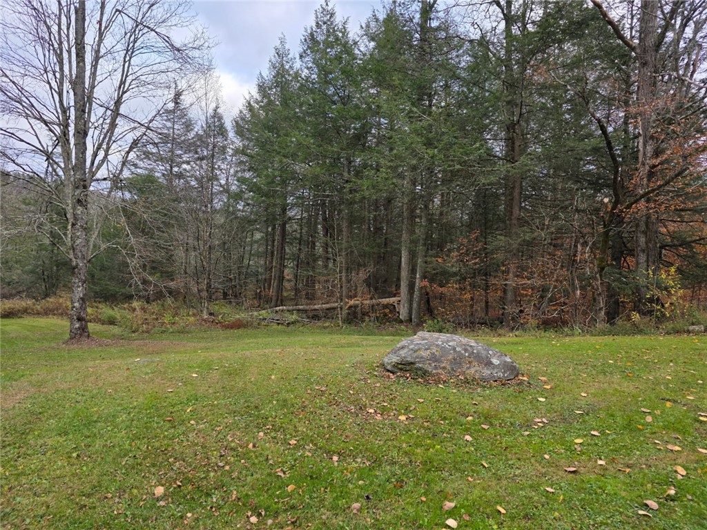 270 Baudendistel Road Hancock, NY 13783 - Photo 11 of 42