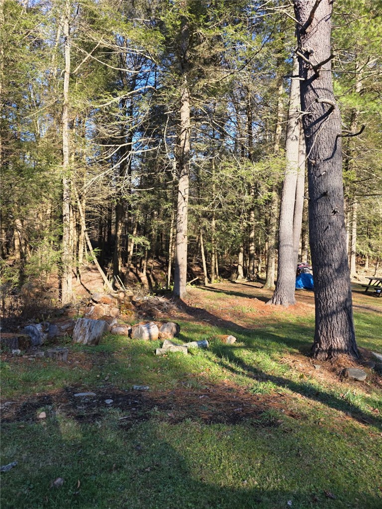 270 Baudendistel Road Hancock, NY 13783 - Photo 5 of 42