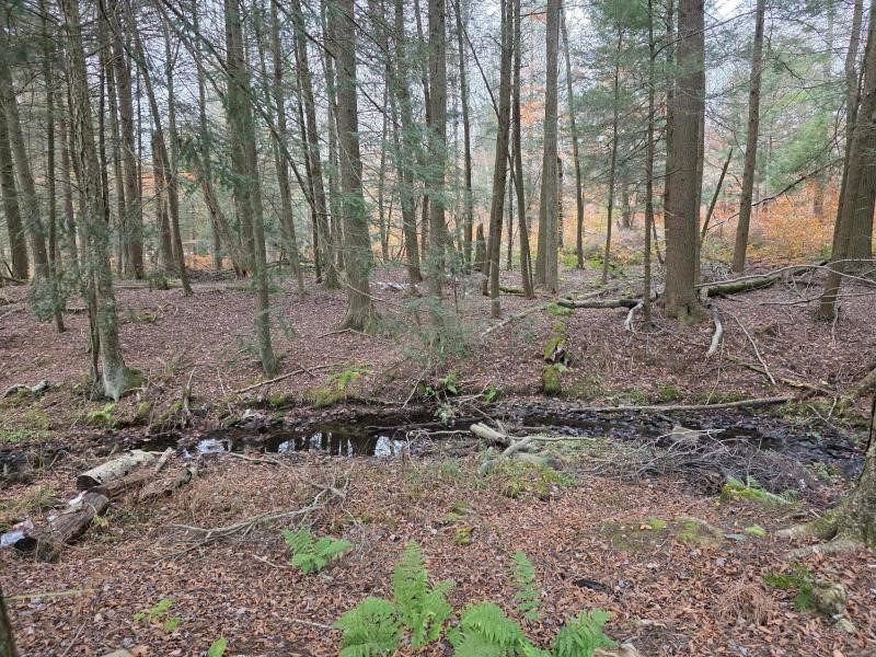 270 Baudendistel Road Hancock, NY 13783 - Photo 6 of 42