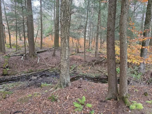 $159,000 | 270 Baudendistel Road, Hancock, NY 13783