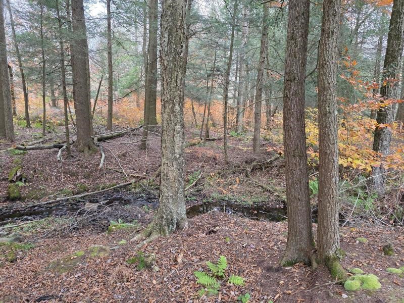 270 Baudendistel Road Hancock, NY 13783 - Photo 8 of 42