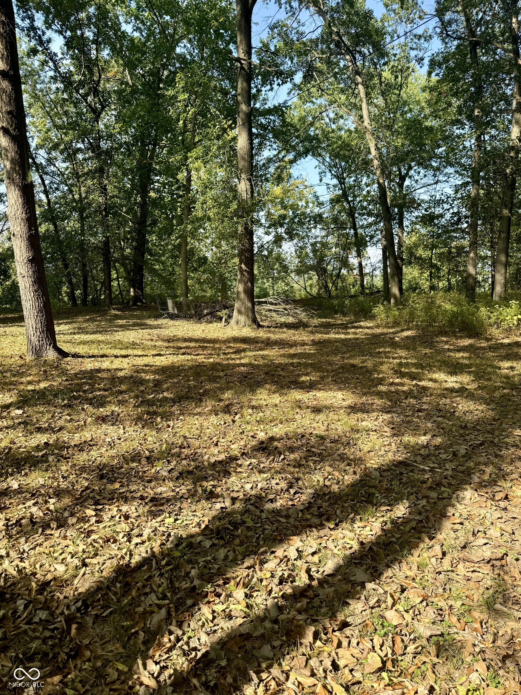 1630 West Spring Street Covington, IN 47932 - Photo 13 of 16