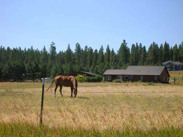 22025 West Jacobs Road Spokane, WA 99224 - Photo 8 of 8