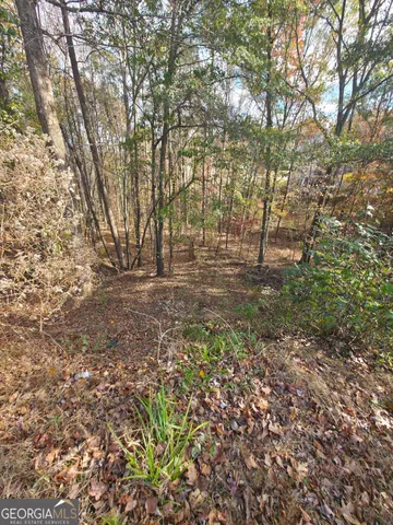 a view of outdoor space with trees