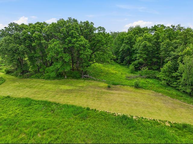 0 Holst Road Pittsville, WI 54466 - Photo 8 of 18