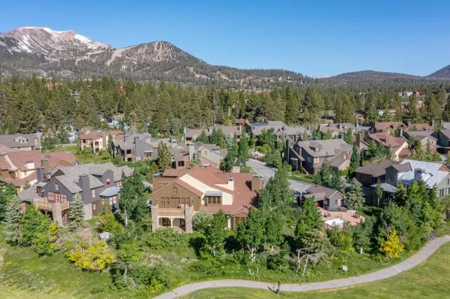 an aerial view of residential houses with outdoor space and trees
