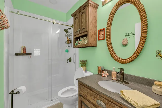 a bathroom with a sink a mirror a toilet and a shower