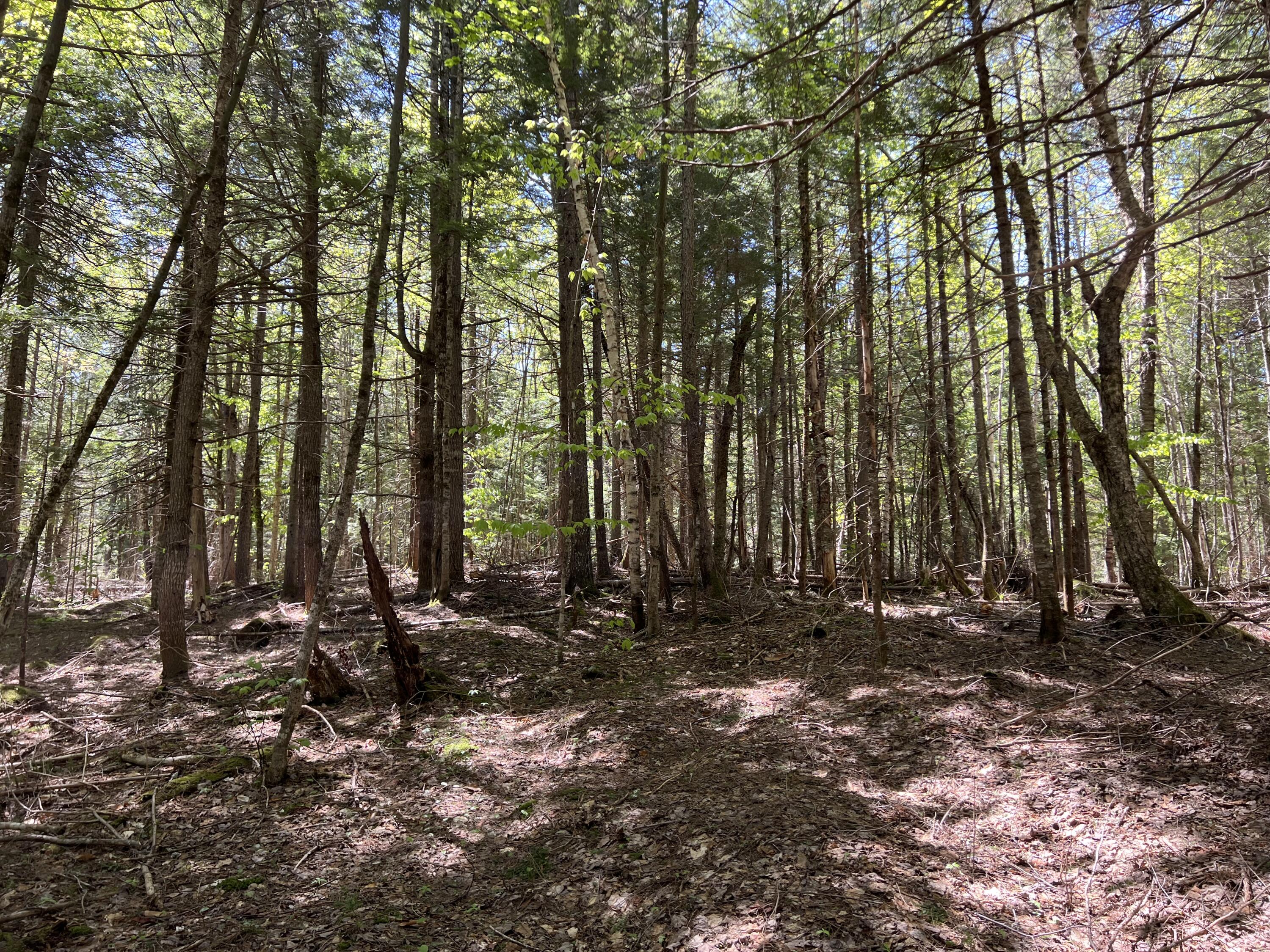 Lot 30 Mountain Road Linneus, ME 04730 - Photo 16 of 24 B6587422-BB2F-4F62-942F-34F6F151BCC3