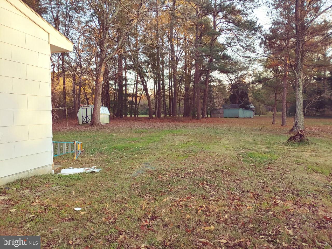 28105 Allen Cut Off Eden, MD 21822 - Photo 4 of 10 LOOK AT THIS BACKYARD W SHED