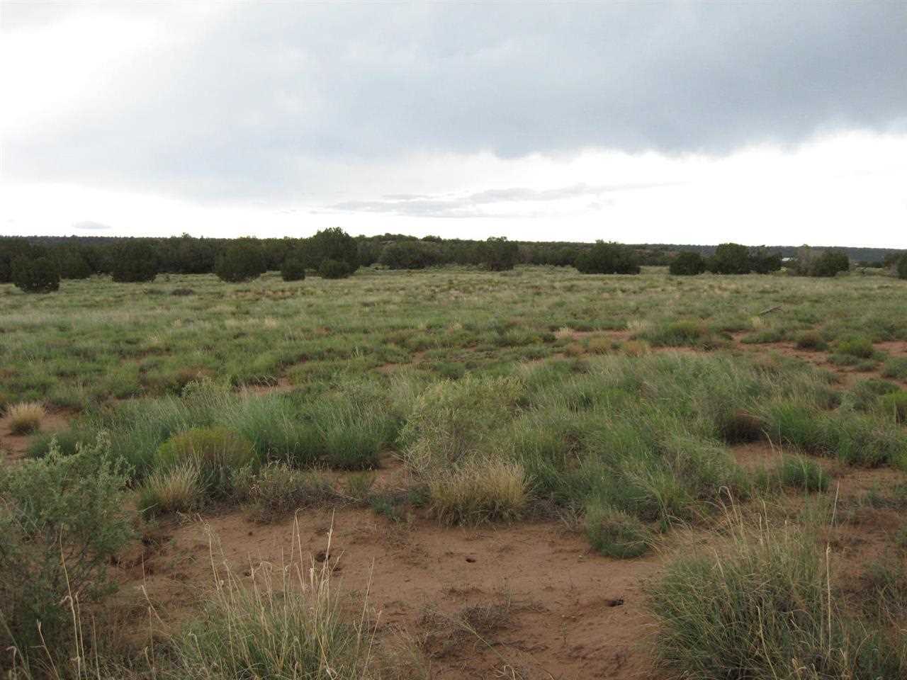 3732 Del Contento Road Snowflake, AZ 85937 - Photo 5 of 5 Gallery Image 5