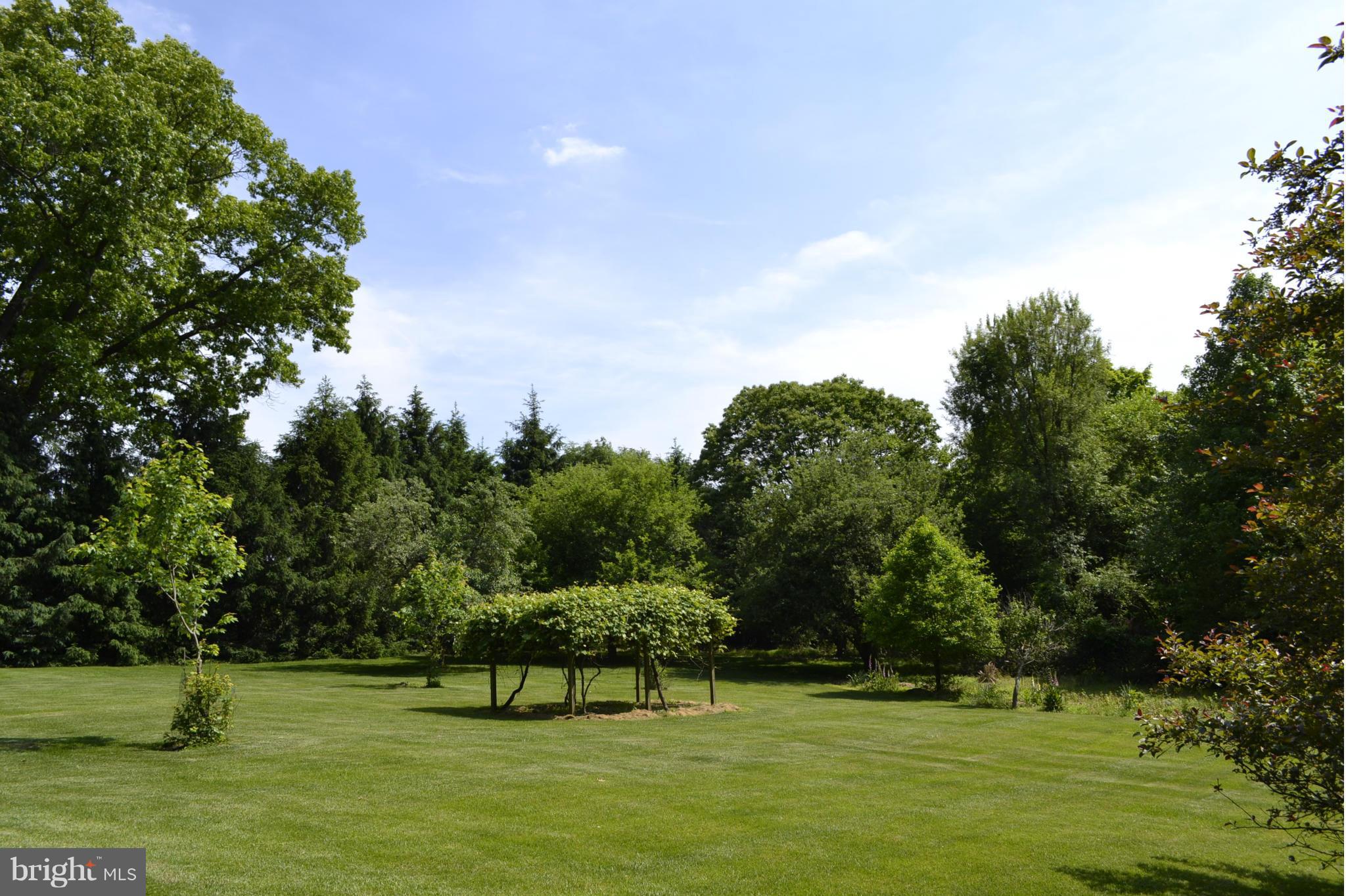 13407 Roxbury Road Silver Spring, MD 20904 - Photo 22 of 23 a view of a park with large trees