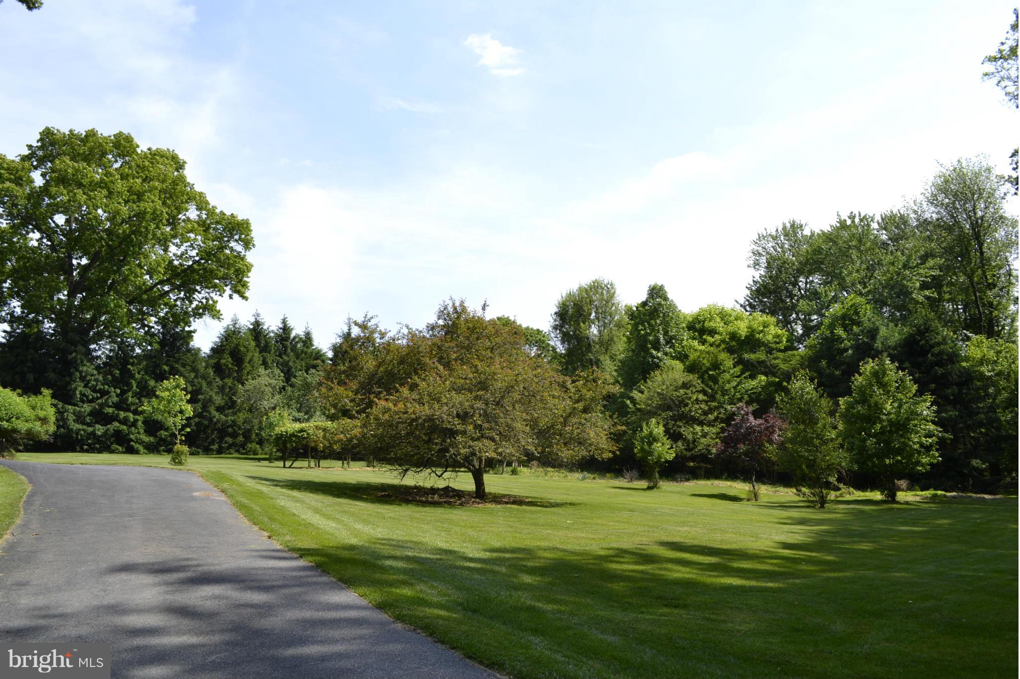 13407 Roxbury Road Silver Spring, MD 20904 - Photo 23 of 23 a big yard with trees in front of it