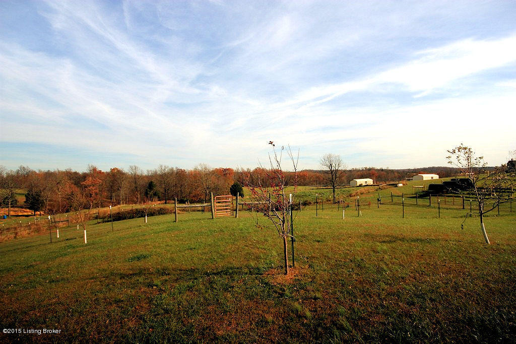 1241 Young Road Caneyville, KY 42721 - Photo 10 of 35 19 1241 Young Rd