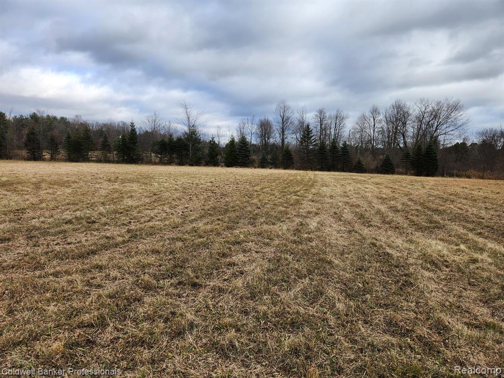 0 Martus Rd Branch North Branch, MI 48461 - Photo 5 of 10