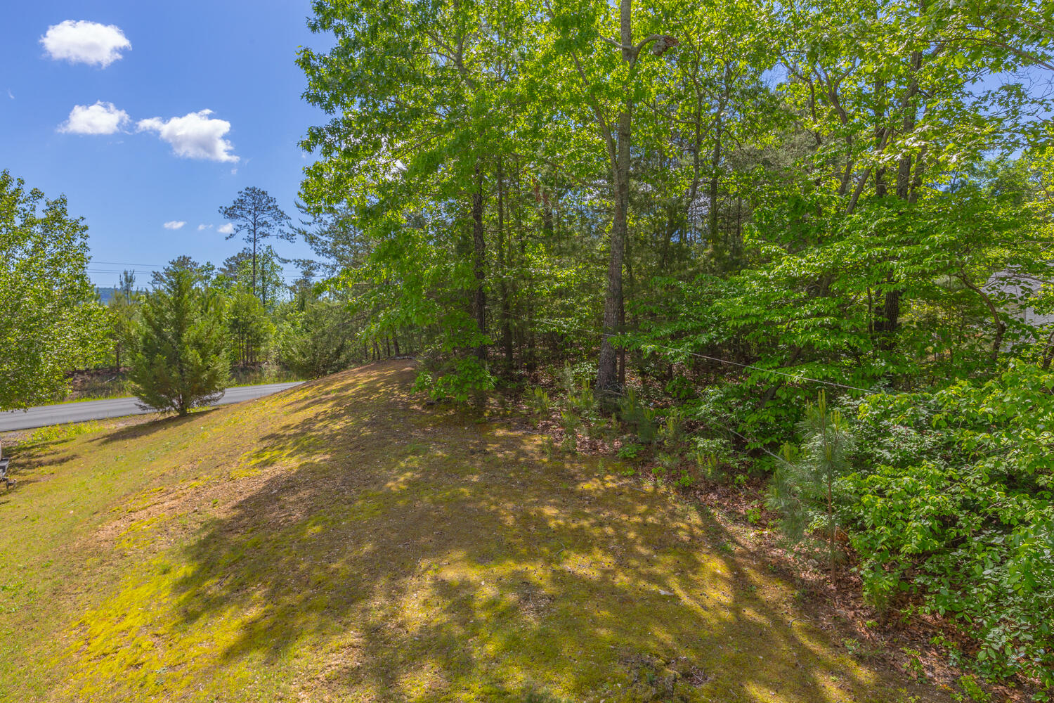 2452 Quarles Road Rocky Face, GA 30740 - Photo 11 of 35 2452 Quarles Road HD -15