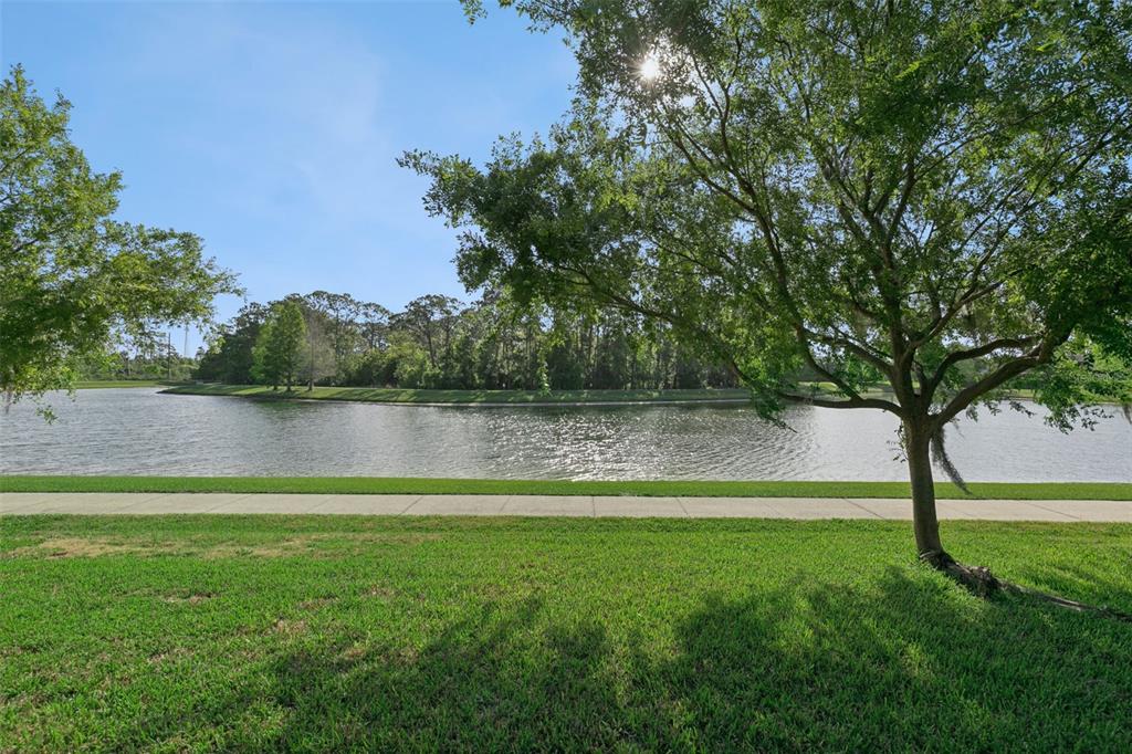 7137 Beek Street Windermere, FL 34786 - Photo 4 of 33 a view of a lake