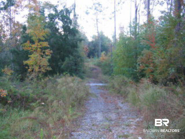 0 Pinehill Road Daphne, AL 36526 - Photo 1 of 1