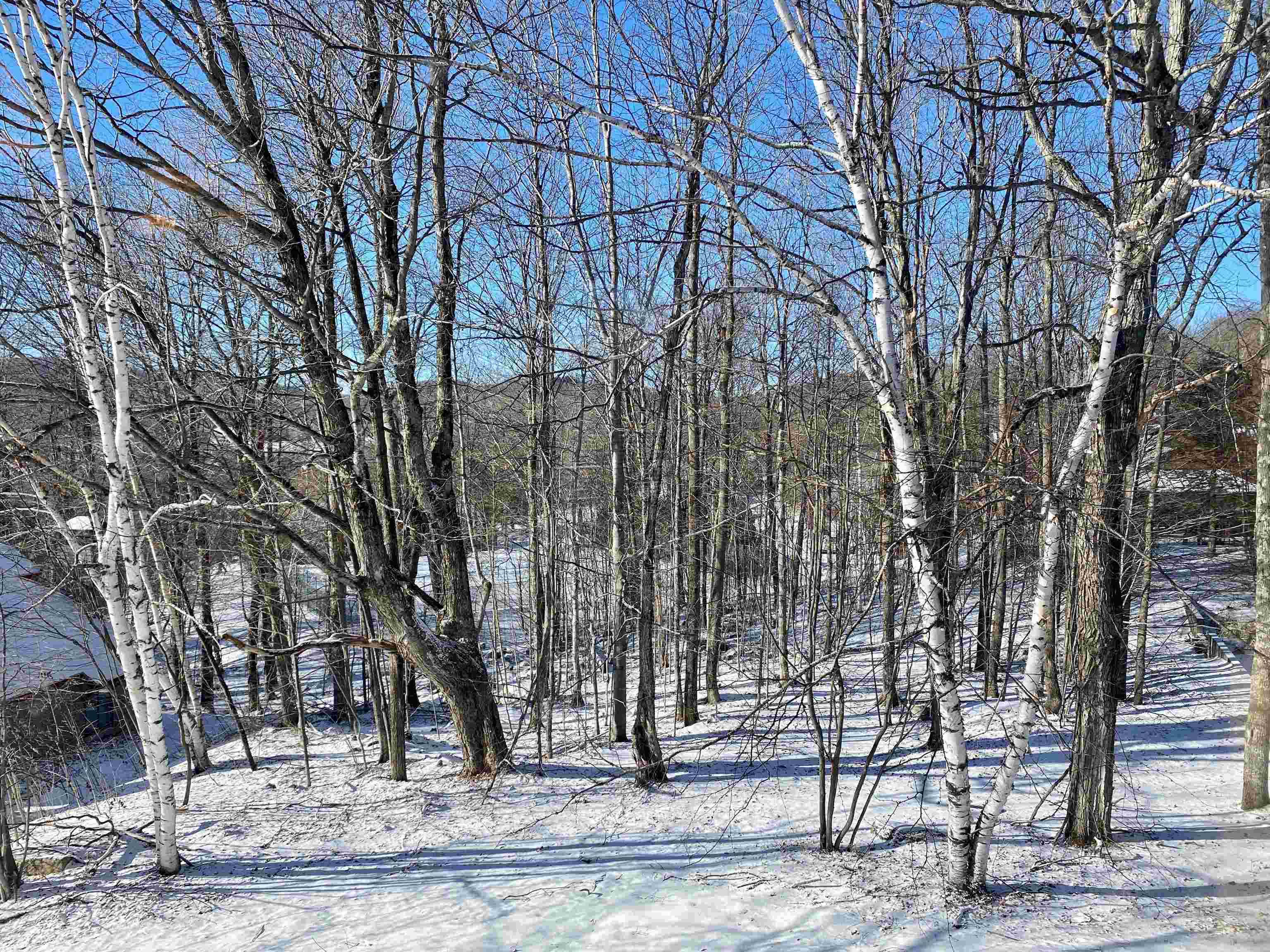 A10 Ridge Court Winhall, VT 05340 - Photo 3 of 36