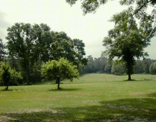 40248 Archie Wallace Road Franklinton, LA 70438 - Photo 1 of 5 Gallery Image 1