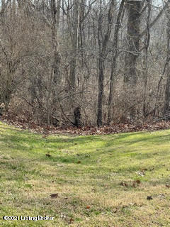 148 Greenbriar Road Milton, KY 40045 - Photo 2 of 13 Backyard