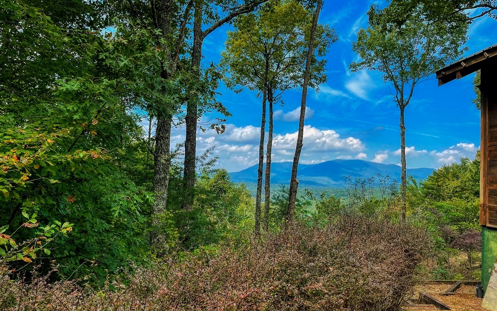 356 Rocky Hollow Road Ellijay, GA 30536 - Photo 2 of 4 Additional View