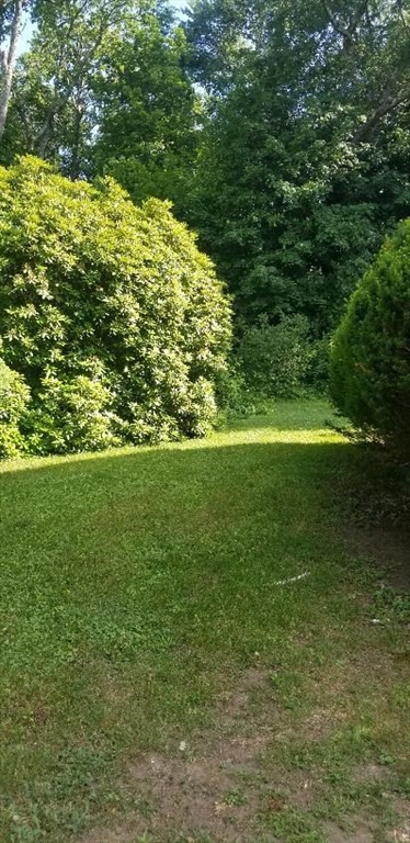 11 Longfellow Road Lexington, MA 02420 - Photo 3 of 3