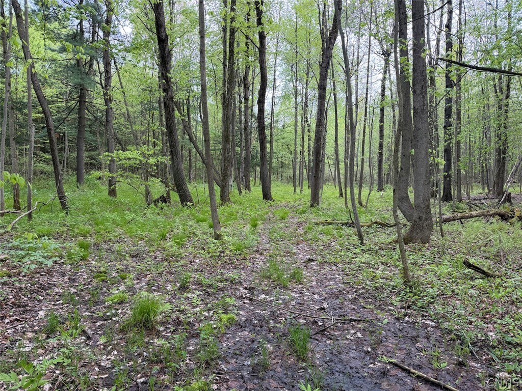 Slew Road South Dayton, NY 14138 - Photo 1 of 13