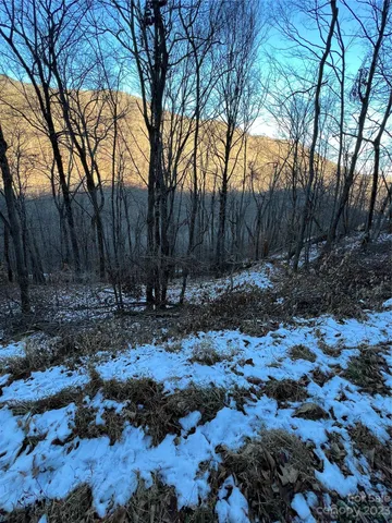 $15,000 | 0 Puncheon Lane, Unit 170, Mars Hill, NC 28754