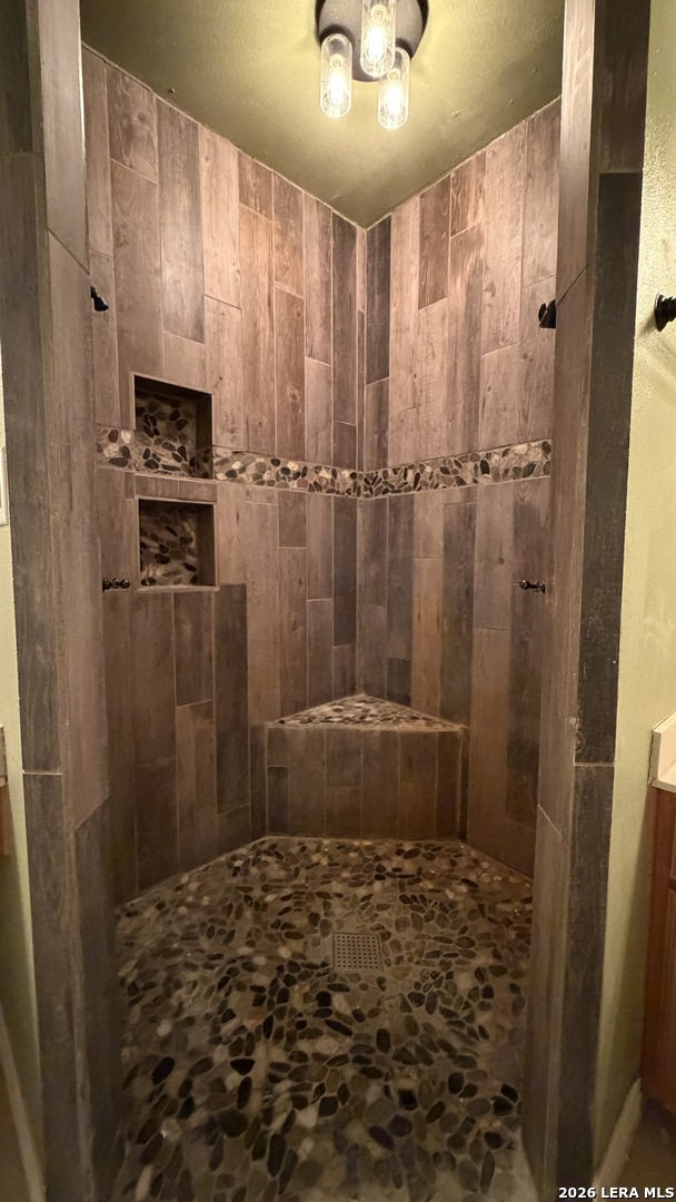 10565 Briggs Road Atascosa, TX 78002 - Photo 23 of 59 a bathroom with a shower