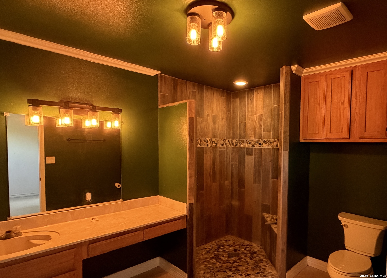 10565 Briggs Road Atascosa, TX 78002 - Photo 46 of 59 a bathroom with a sink and a mirror