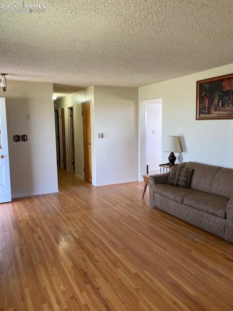 355 North Rush Road Rush, CO 80833 - Photo 10 of 41 a living room with furniture and a wooden floor