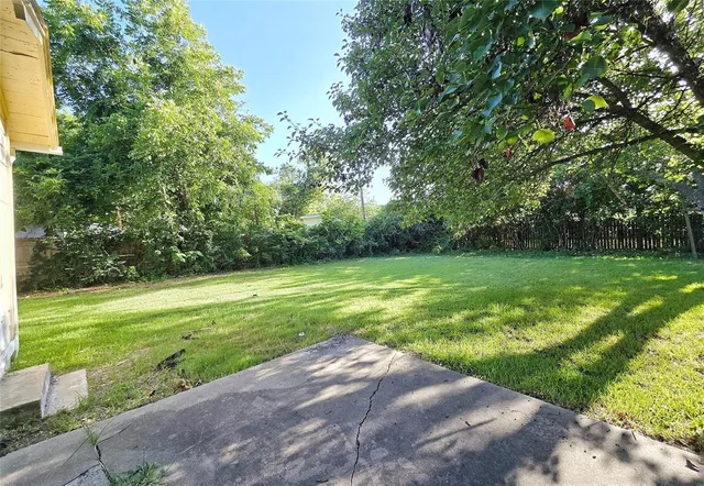 a view of a grassy field with an trees